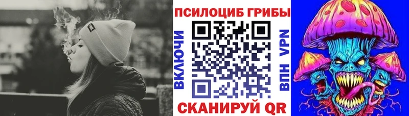 Купить  Кинешма  Галлюциногенные грибы Psilocybine cubensis 