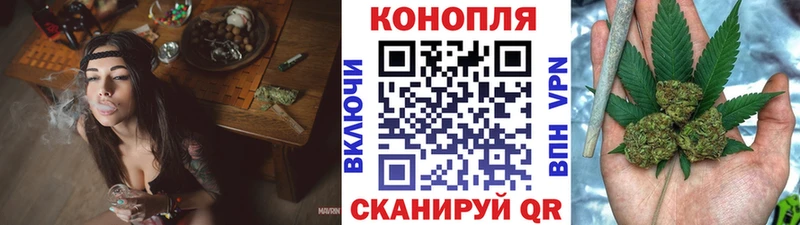 Купить где  Кинешма  Марихуана сатива 